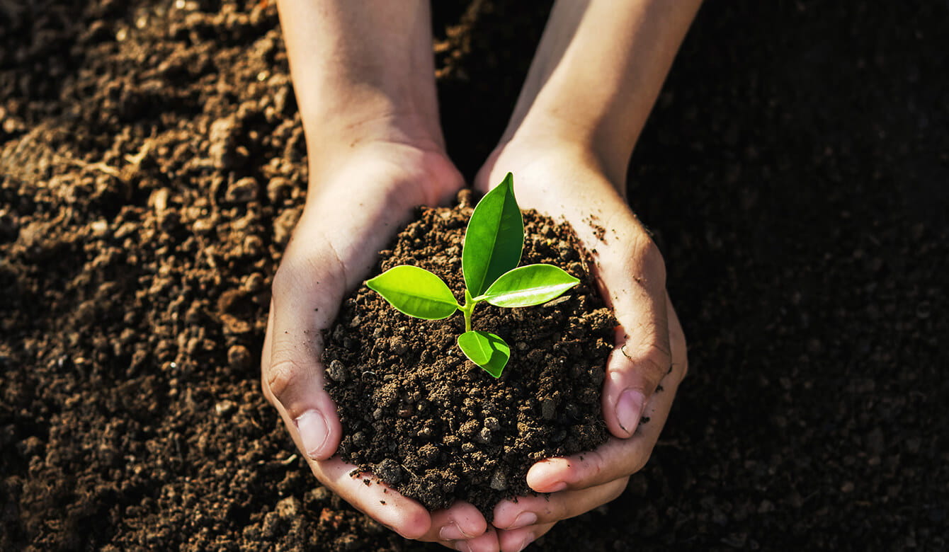 Earth Day 2025 and Sustainability in Music Production